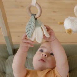 Little Dutch Baby Gym - Little Goose - LD -Baby Product 40 08080512 46c1 42af ade5 b64b4958f241