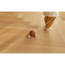 Plan Toys Pull Along Hedgehog Brown -Baby Product 4 3a19562d ec68 418c 883d 710e9eb6196b