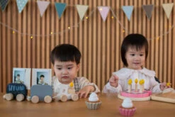 Plan Toys 5734 Celebration Train -Baby Product 5734 Celebration Train LF 2 540x360 1