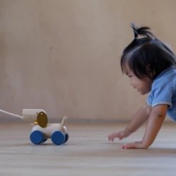 Plan Toys Push & Pull Puppy - PT 5724 -Baby Product 71 aff42a05 bf9e 4cf7 a709 e69179dd2559