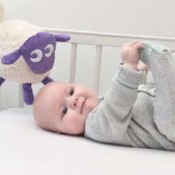 Ewan The Dream Sheep (Classic) - Baby Sleep Soother 12 Ewan The Dream Sheep (Classic) - Baby Sleep Soother -Baby Product Purple Classic Ewan a a8cc6ca7 c861 4d25 9384 fa5c45cdb1f0